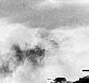 1942 год. Танковая атака под Сталинградом.  (Автор фотографии Г. Зельма)